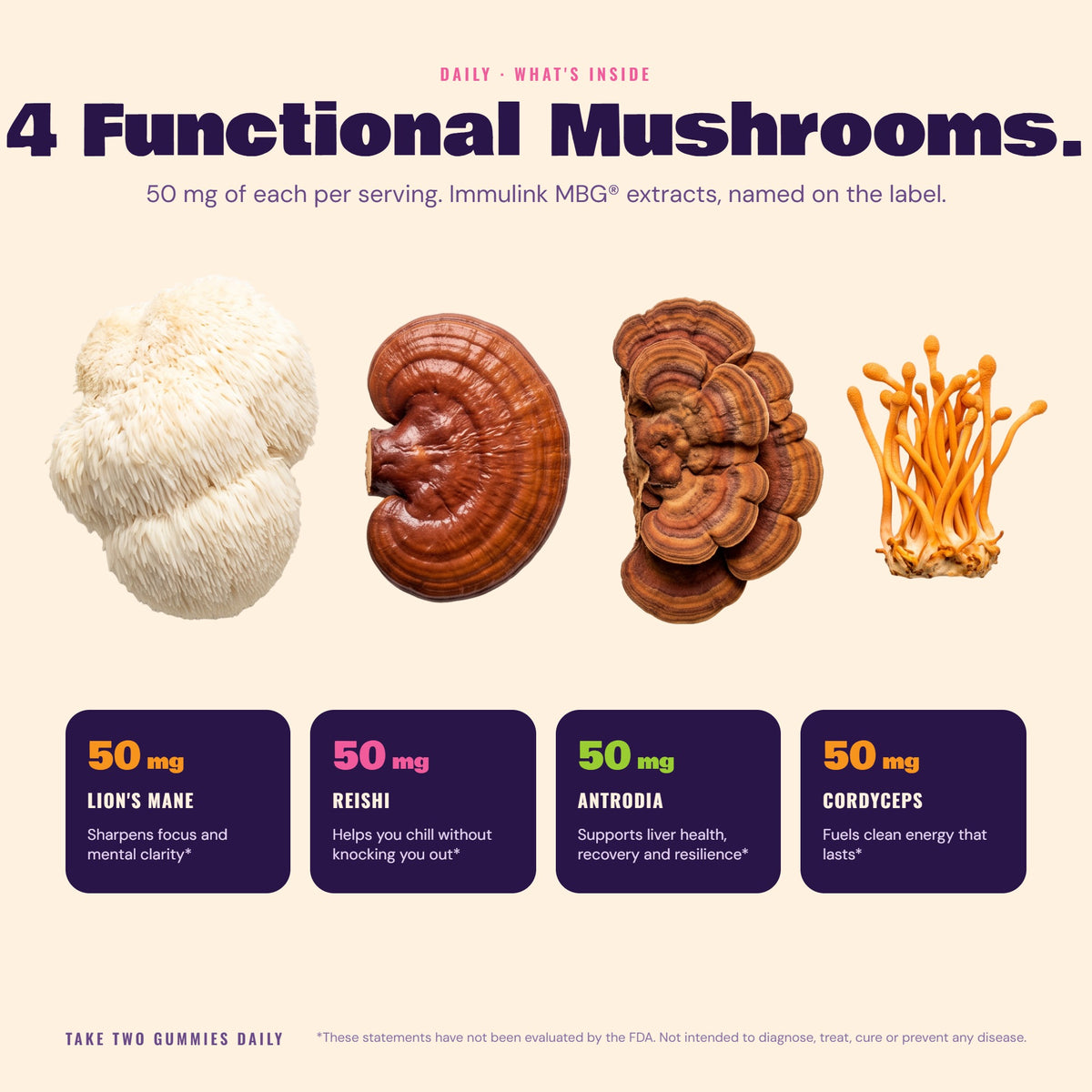 Fruit Fusion gummies: the four mushrooms named on the label, lion's mane, reishi, antrodia, cordyceps