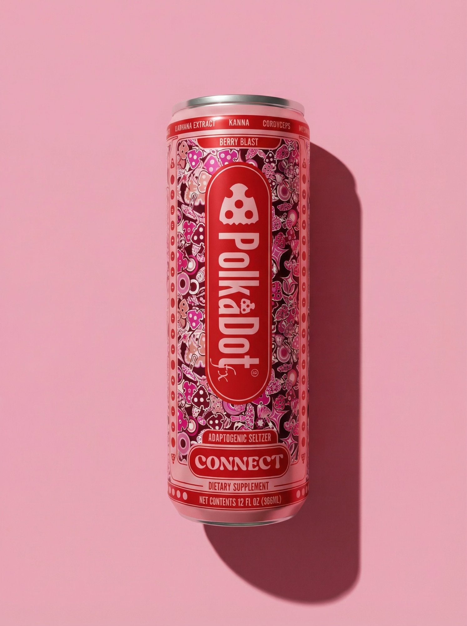 Connect Seltzer (6 Pack)